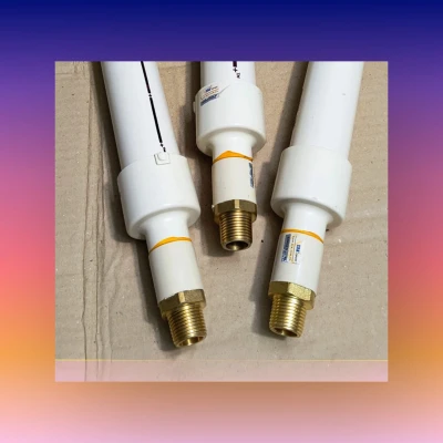 Cpvc আয়রন রিমুভার পাম্পার secondary